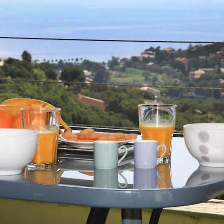Cap Corse Uribellinu 2 Formule Petit Dejeuner Santa-Maria-di-Lota Eksteriør bilde
