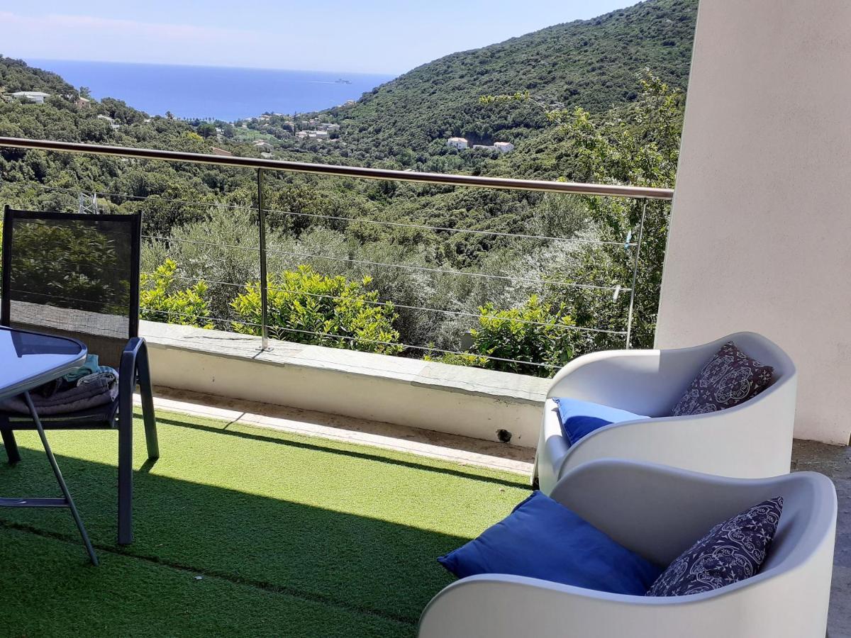 Cap Corse Uribellinu 2 Formule Petit Dejeuner Santa-Maria-di-Lota Eksteriør bilde
